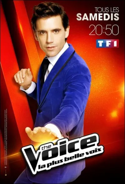 Mika a-t-il remport&eacute; une fois "The Voice" ?