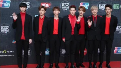 Si tu faisais partie d'un groupe de Kpop, quel serait ton r&ocirc;le ?