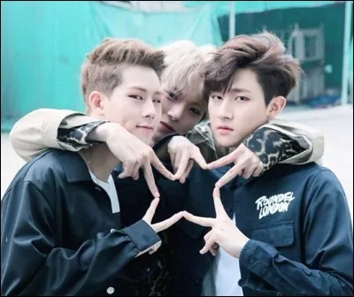 Quel adjectif d&eacute;crit le mieux ton type id&eacute;al ?