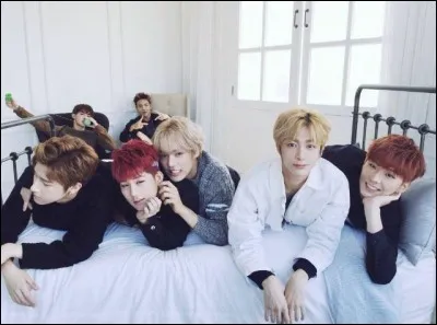 Quel est ton groupe sanguin ?