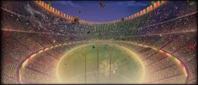 Comment s'appelle le présentateur de la Coupe du Monde ?