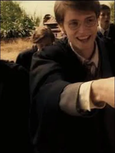 Quel tic avait James Potter ?