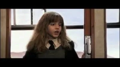 Quelle remarque fait Hermione après avoir assisté à la tentative de Ron de transformer son rat ?