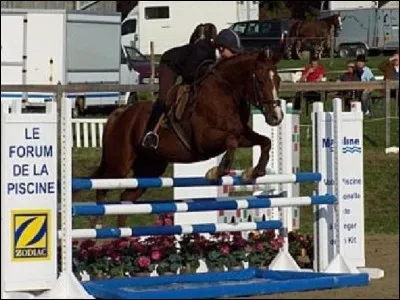 Quel est cet obstacle ?