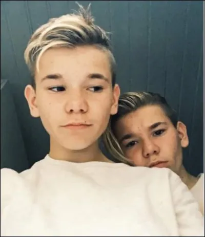 Quel âge ont-ils cette année ? (2017)