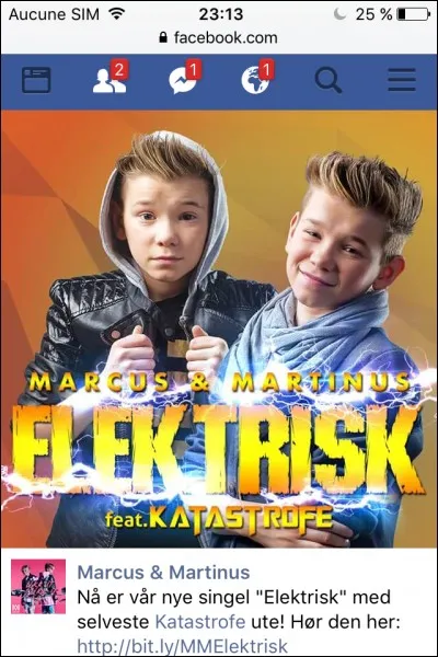 En quelles langues chantent-ils leurs chansons ?