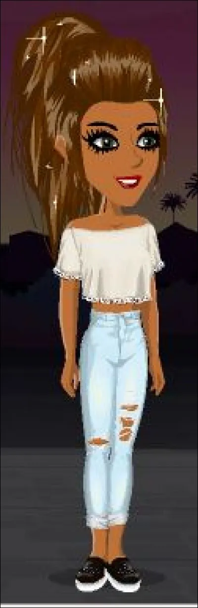 Comment s'appelle ce style ? (voir image)