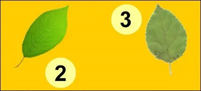 De combien d'atomes d'hydrogène se compose une molécule d'eau ?