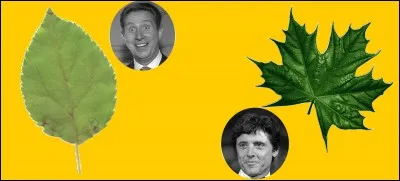 Qui vendait "des pommes, des poires et des scoubidous" ?