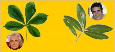 Quel chanteur français interprète "Le patineur", en 1972 ?