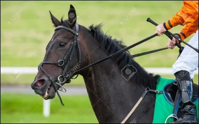 Tiens-les bien, en douceur, et tout se passera bien !