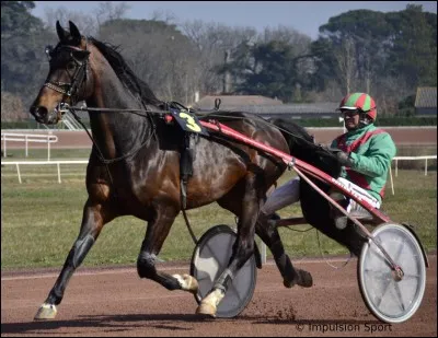 Attelle-toi à la réponse !