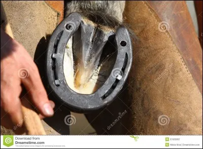 Si tu ne trouves pas la traduction, tu vas ruer dans les brancards !