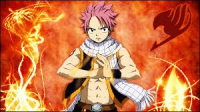 C'est le h&eacute;ros du manga de Hiro Mashima, "Fairy Tail". Il est malade pendant les transports.