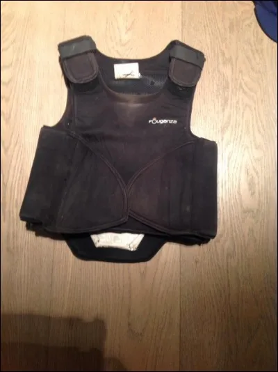 Cela n'est pas un dorsal mais ça protège le dos et le ventre.