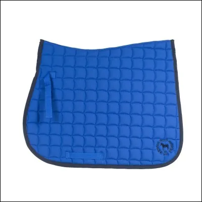 Cela se place aussi sur le dos du cheval . (Bon la on travaille l'orthographe mais bon c'est pas grave) .