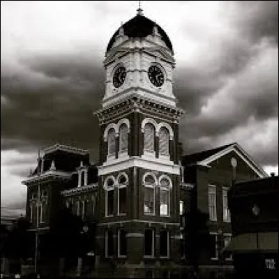 Quels protagonistes sont revenus pour le final de la série ? (Vampire Diaries)