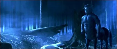 Qui Harry rencontre-t-il dans la Forêt interdite ?