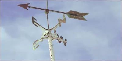 Quel est le temps qu'Enjoyphenix déteste ?