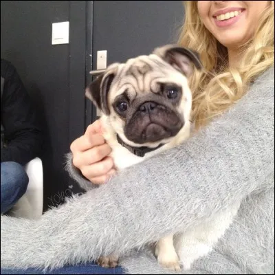 Comment s'appelle son chien ?