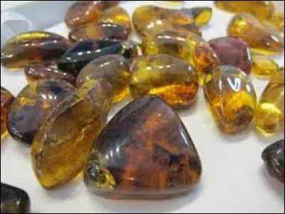 En informatique, unité de mesure composée de huit bits :