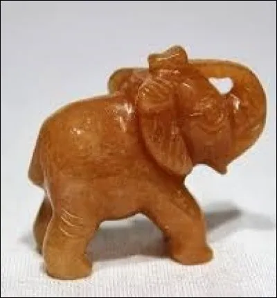 Mammifère ruminant d'Afrique centrale dont l'allure rappelle à la fois celle du zèbre et de la girafe :