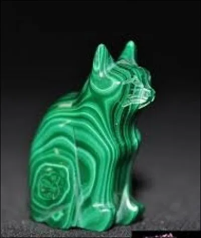 Espion japonais, maître des arts martiaux :