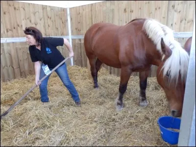 Avec quoi peut-on faire une litière ?