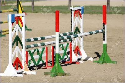 Cet obstacle s'appelle un ...