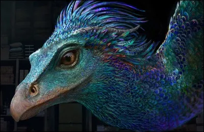 Quelle créature ailée protège farouchement ses ufs à la coquille d'argent pur ?