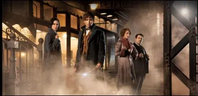 En quoi la communauté des sorciers en Amérique est-elle différente de la communauté britannique ?