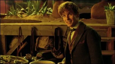 Quel(s) métier a-t-il exercé(s) ?