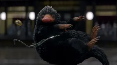 Que désigne l'expression "Vie et habitat des animaux fantastiques" ?