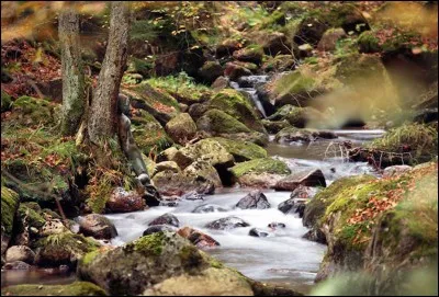 Selon toi, que cache cette image ?