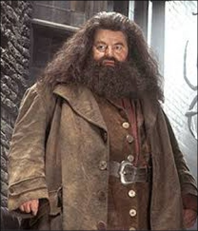 Dans « Harry Potter à l'école des sorciers », avec quel accessoire Hagrid allume-t-il le feu de la cheminée des Dursley ?