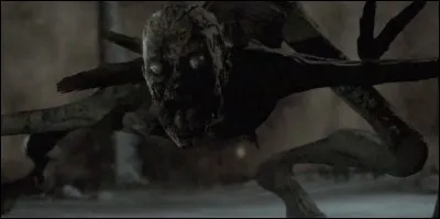 Que sait-on sur le Makkapitew ?