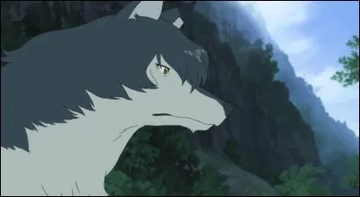 Dans la forêt, qui Ame va-t-il voir ?