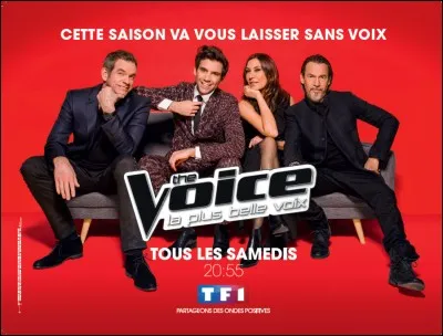 Qui est allé(e) à "The Voice Kids" et ensuite à "The Voice" ?