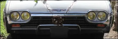 Calandre de Ford Thunderbird mais de quelle année est ce modèle ?