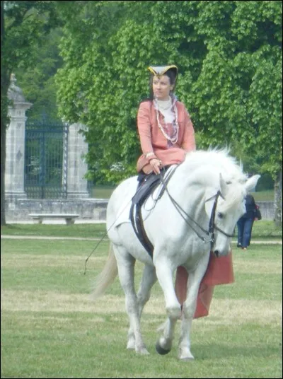 Comment appelle-t-on la discipline où l'on doit monter comme sur l'image ?