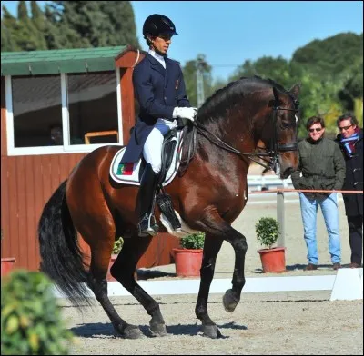 Dans l'antiquité, à quoi servait le dressage pendant les guerres ?