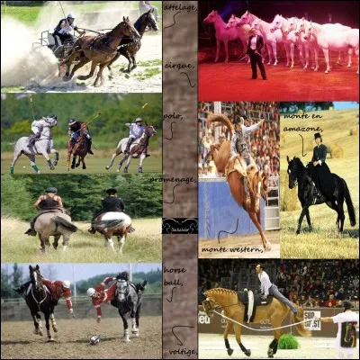 Quelle est la discipline la plus élégante ?