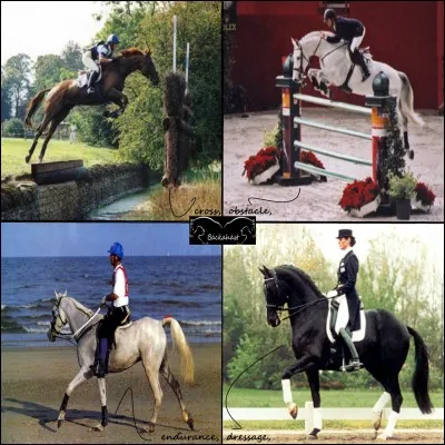 Quelle est la discipline la plus dangereuse ?