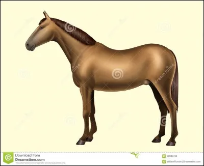 Où se trouve le grasset ?