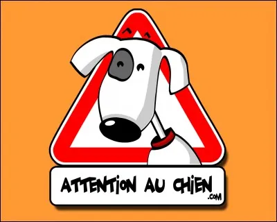 Caresse de chien ...