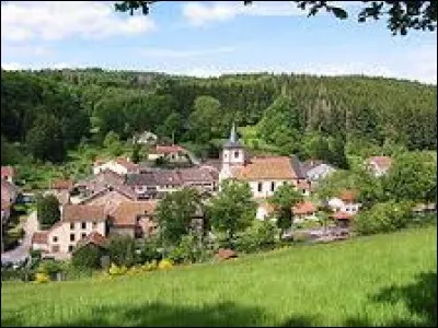 Petit village Vosgien de 68 habitants, Saint-Stail se situe en région ...
