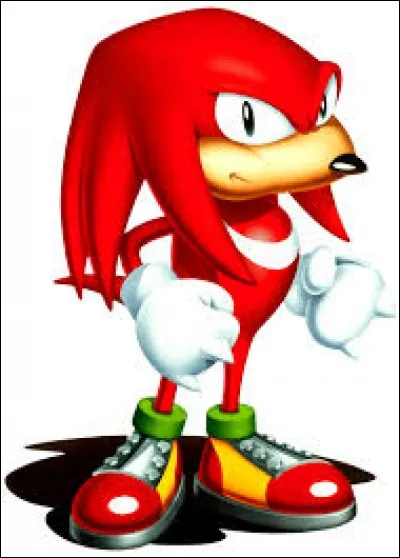 Comment s'appelle ce personnage de l'univers du jeu vidéo "Sonic" ?