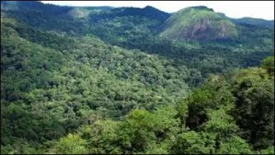 La Guyane est une île.