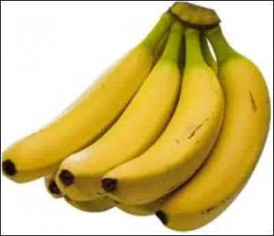 Les bananes poussent sur un arbre.