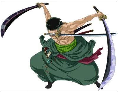 Quel il Zoro a t-il "perdu" après l'ellipse ?